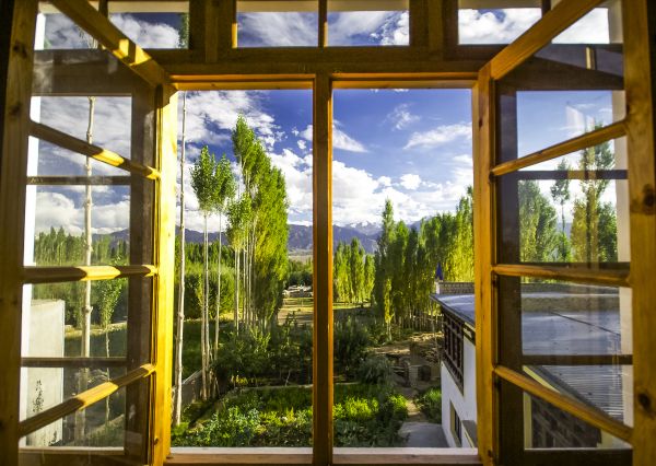 Wood Window Replacement in Springtown